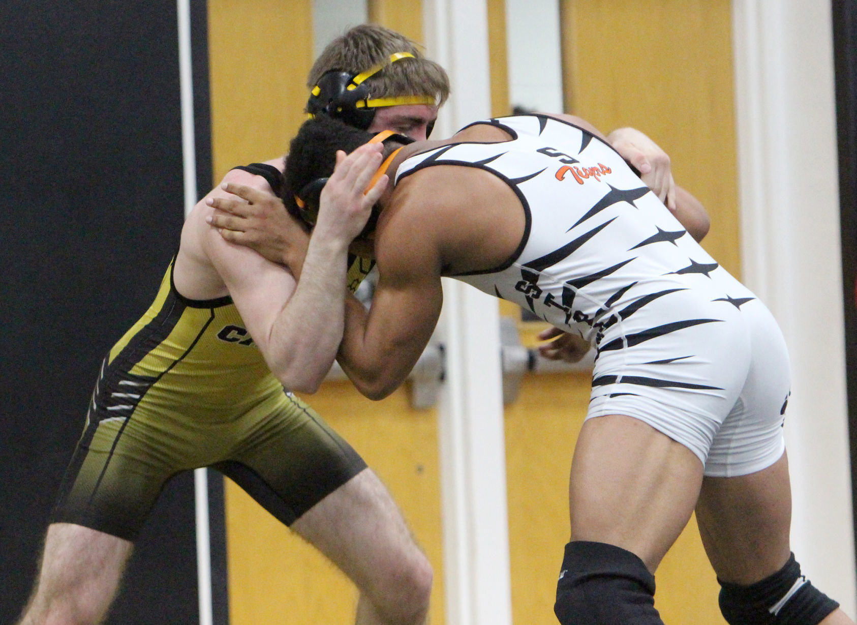 Division 3 Wrestling Regional at Cadott 2-15-20